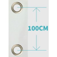 100 cm